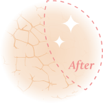 肌膚護理系列 Skin Care